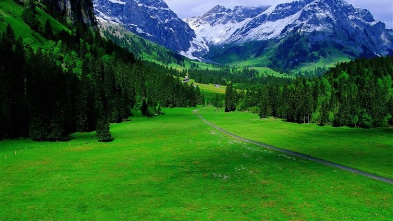 الوديان في المنام