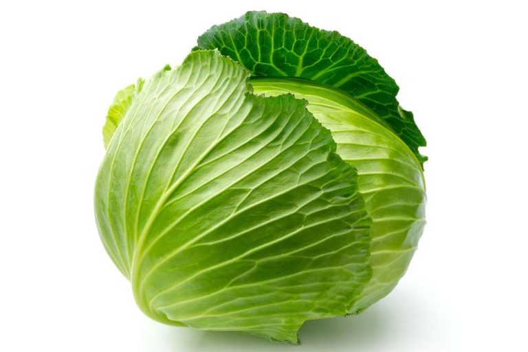 الملفوف في المنام للعزباء