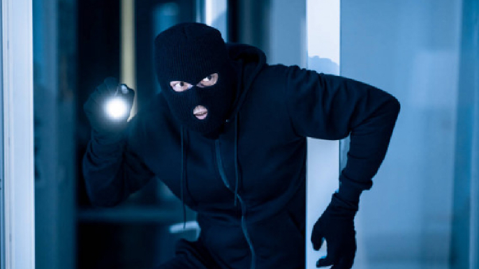 السرقه فى المنام