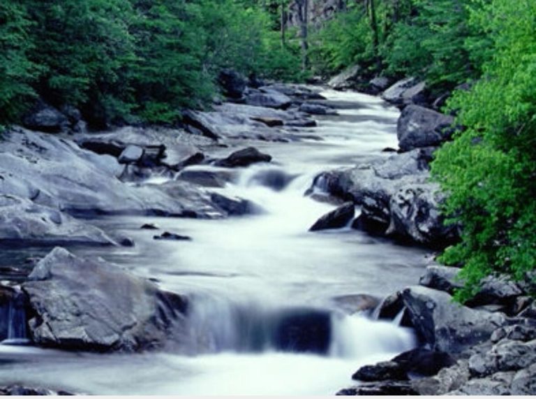 المياه في المنام للمتزوجة