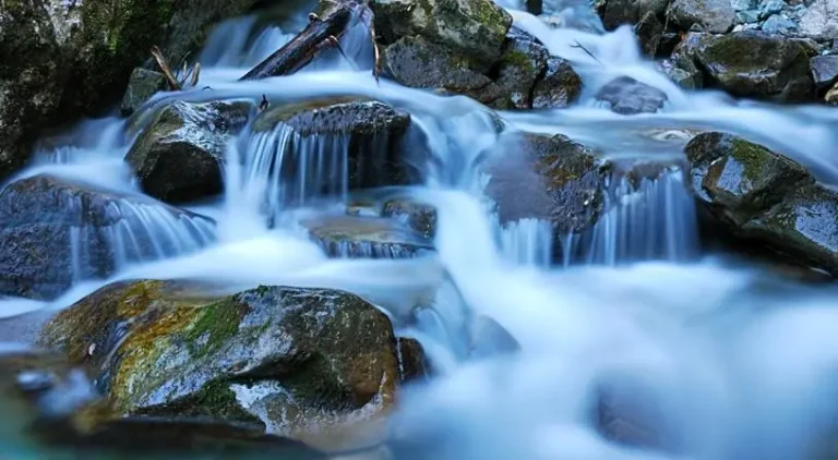 المياه الجارية في المنام