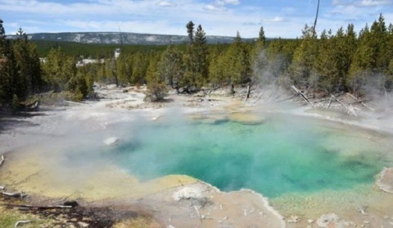 الينبوع في المنام