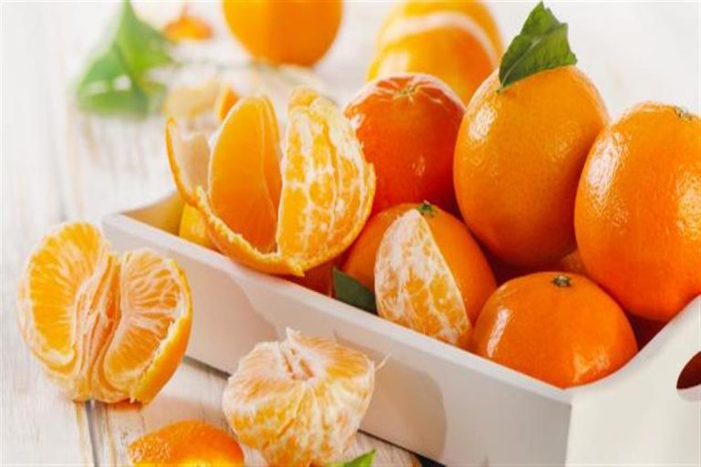 اليوسفى فى الحلم