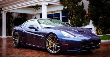 السيارة البنفسجية في المنام